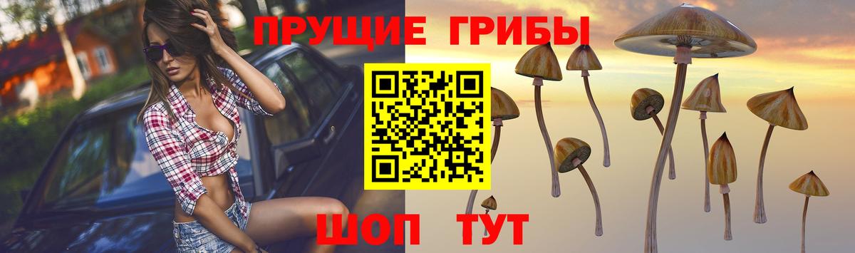 Галлюциногенные грибы ЛСД Артёмовский